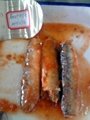 sardine in tomato sauce