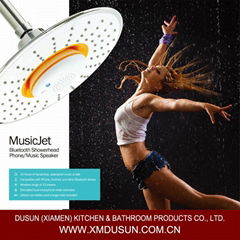 Wireless Bluetooth Shower