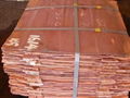 Copper Cathode