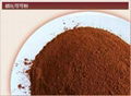 Sell Alkalized Cocoa Powder 10/12 fat 1