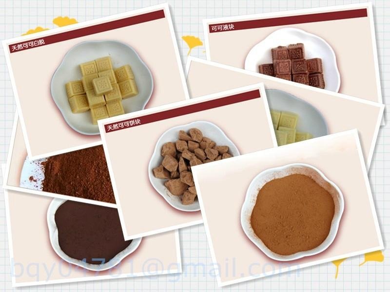 Wholesale Natural bulk Cocoa cacao Powder 10/12 fat 2