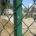 chain link fence 