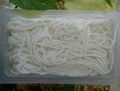 Konjac noodles SP-1 1