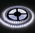 High bright SMD5630 LED strips