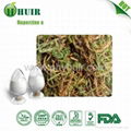 Huperzine A 1%(Huperzia Serrata Extract)