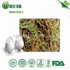 Huperzine A 1%(Huperzia Serrata Extract)  