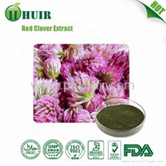  Red Clover Extract isoflavone 8%  20%   40% 