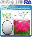 Natural herbal extract Galanthamine