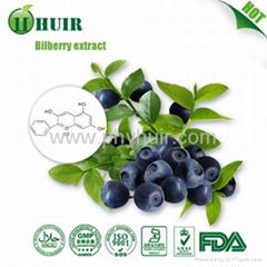 Bilberry Extract 25%-36%