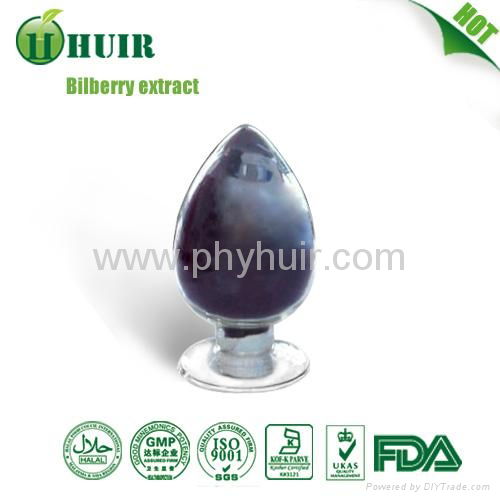 Bilberry Extract 25%-36% 3