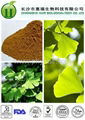 High Quality Ginkgo biloba extract 1