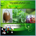 High Quality Ginkgo biloba extract 2