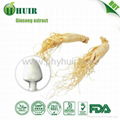 Panax Ginseng Extract 10%-80%