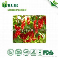 Schisandra chinensis extract powder  1%-9%