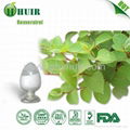 Resveratrol-Fallopia Japonica Extract