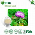 High Quality Milk Thistle Extract