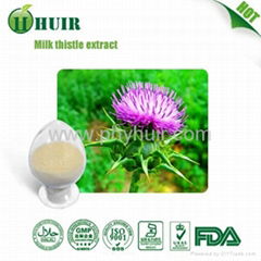 High Quality Milk Thistle Extract