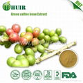 Green Coffee Bean Extract