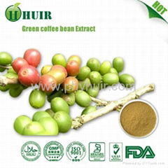 Green Coffee Bean Extract