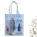 Laminated Nonwoven Full Color Bag for Promotion 1