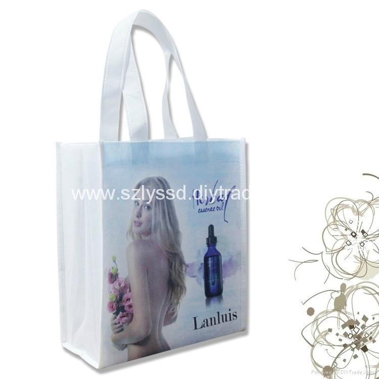 Laminated Nonwoven Full Color Bag for Promotion 2