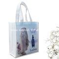 Laminated Nonwoven Full Color Bag for Promotion 2