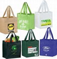 Reusable Shopper Bag PP Nonwoven for Promotion