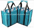 Heavy Capacity 6 Bottles Nonwoven Beer Bag 3