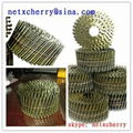 coil nail for nail gun 1