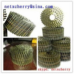 coil nail for nail gun