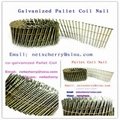 coil nail for nail gun 2
