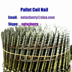 Pneumatic Coil Nail