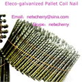 screw shank stainless steel wire coil