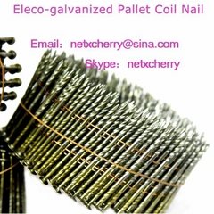 screw shank stainless steel wire coil nails
