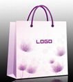 rigid and Eco shopping paper bag 2