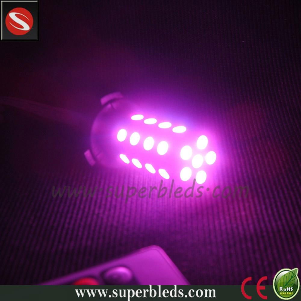   Hot sale RGB Fog light H3 H7 H8 H10 H11 H16 9005 9006 880 881 for auto headlig 3