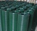 Welded Wire Mesh 4