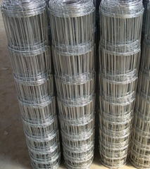 Grassland mesh