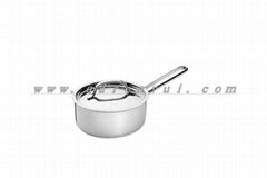 stainless steel saucepan