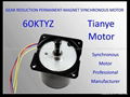 Synchronous Motor 60KTYZ LAMINATION MACHINE MOTOR 1