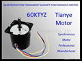 Electic Motor 60TYZ 8W 14W 20W 1