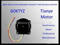 Micro Motor 59TYZ RATED VOLTAGE 220V