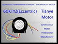 Gear Motor TYD59 ECCENTRIC SHAFT SPEED