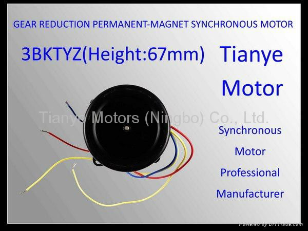 Low RPM Motor 3BTYD SPECIAL 60 MOTOR SPEED CUSTOMIZED