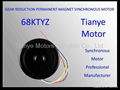 Single Phase Motor 68TYD SPEED