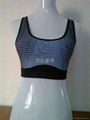 sport vest 1