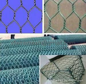 Hexagonal wire mesh  2