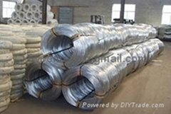 Galvanized Iron Wire supplier