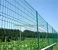 Wire mesh fence fence net welded mesh fence china anping 2