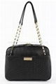 2013 Best Selling ladies fancy bags